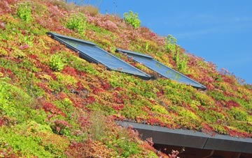 Hamptworth living roof systems